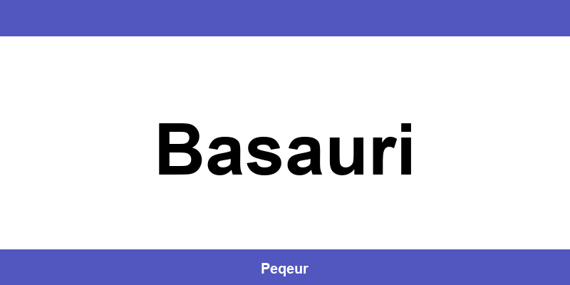 Número de teléfono de la oficina SEUR en Basauri