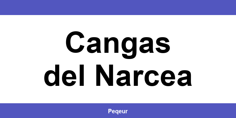 Número de teléfono de la oficina SEUR en Cangas del Narcea