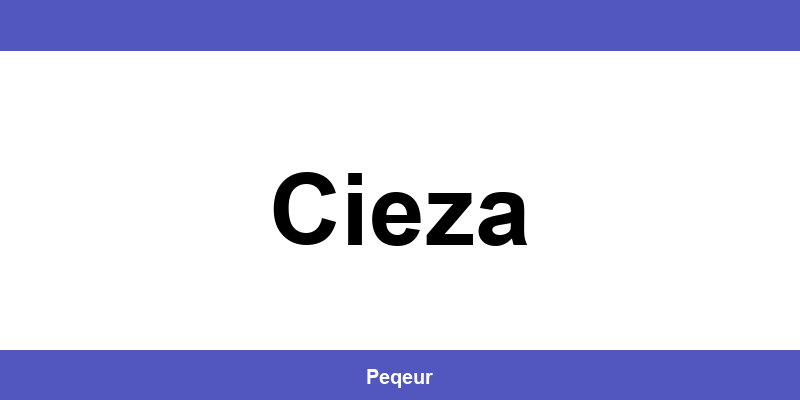 Número de teléfono de la oficina SEUR en Cieza