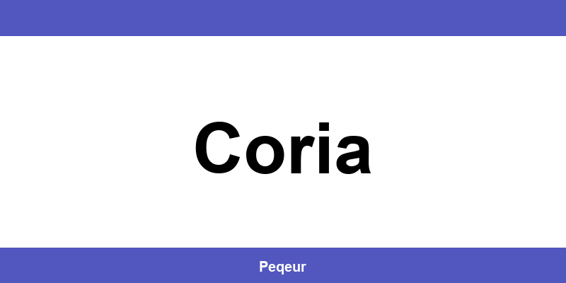 Número de teléfono de la oficina SEUR en Coria