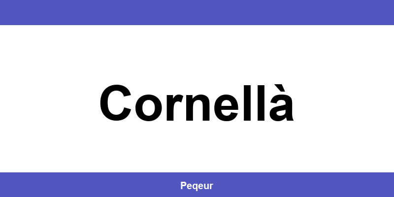 Número de teléfono de la oficina SEUR en Cornellà