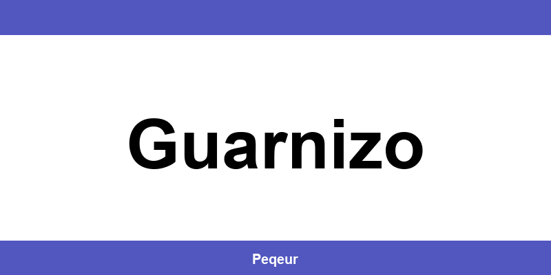 Número de teléfono de la oficina SEUR en Guarnizo