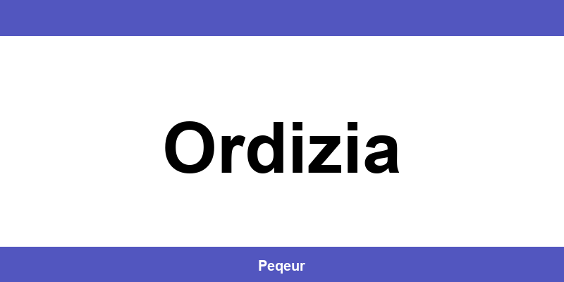 Número de teléfono de la oficina SEUR en Ordizia
