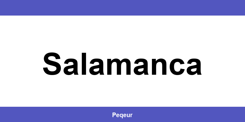 Número de teléfono de la oficina SEUR en Salamanca