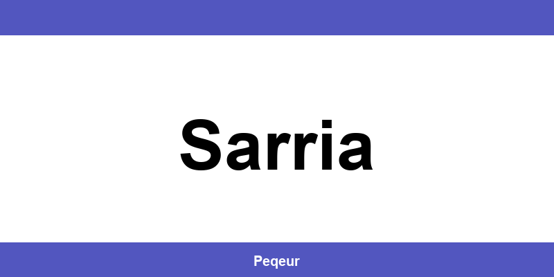 Número de teléfono de la oficina SEUR en Sarria