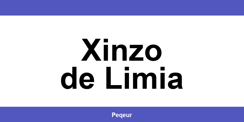 Número de teléfono de la oficina SEUR en Xinzo de Limia