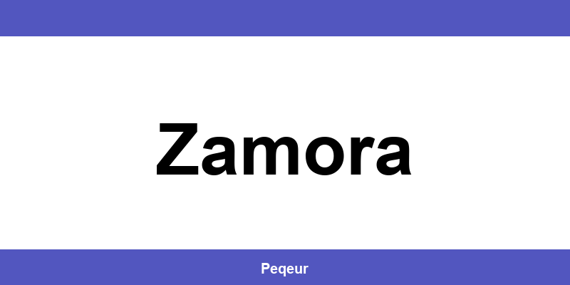 Número de teléfono de la oficina SEUR en Zamora