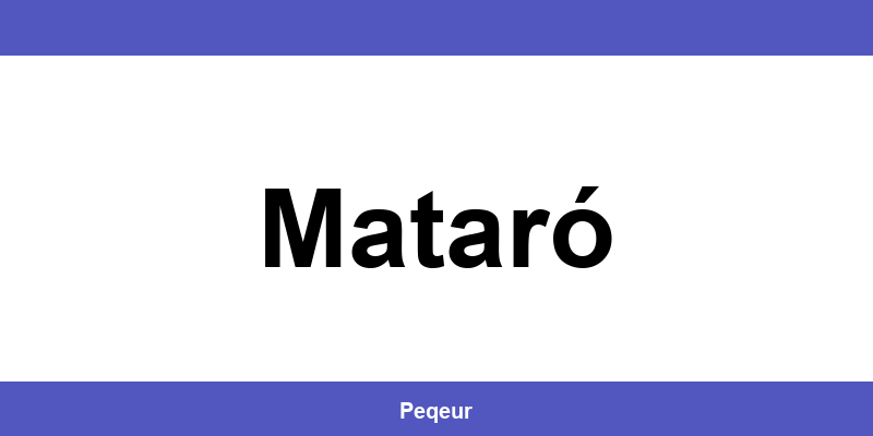 Número de teléfono de la oficina SEUR en Mataró