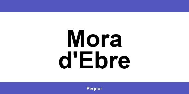 Número de teléfono de la oficina SEUR en Mora d'Ebre