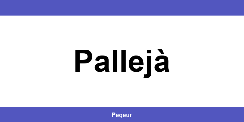 Número de teléfono de la oficina SEUR en Pallejà