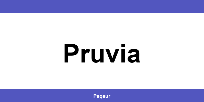 Número de teléfono de la oficina SEUR en Pruvia
