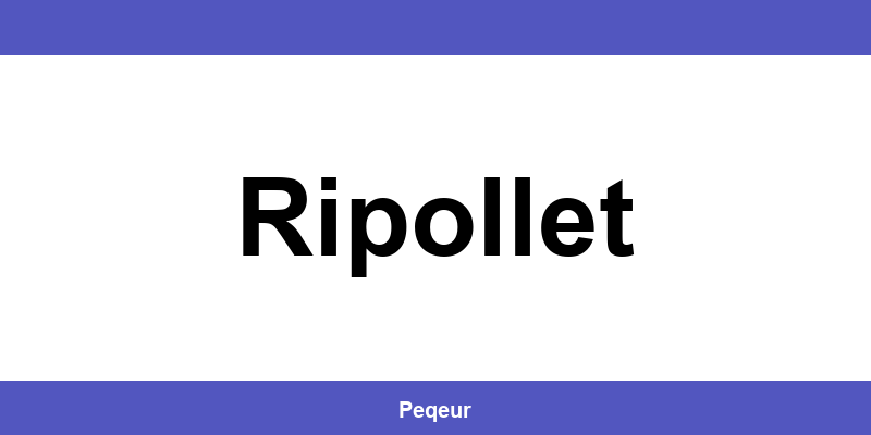 Número de teléfono de la oficina SEUR en Ripollet