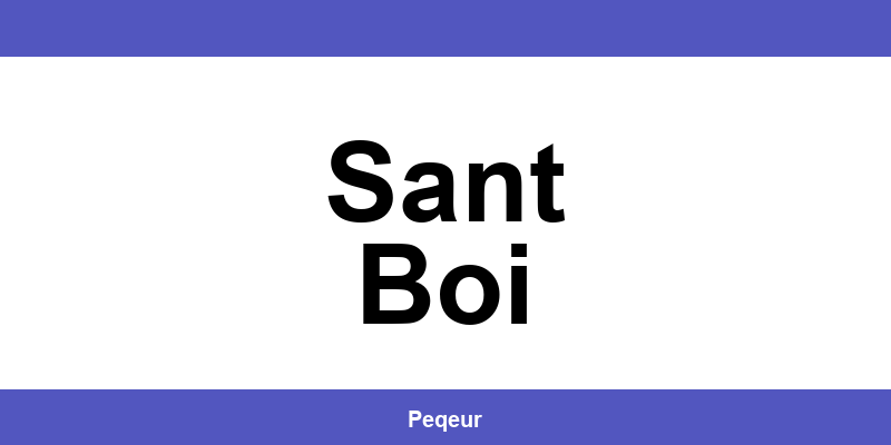 Número de teléfono de la oficina SEUR en Sant Boi