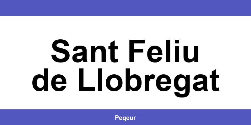 Número de teléfono de la oficina SEUR en Sant Feliu de Llobregat