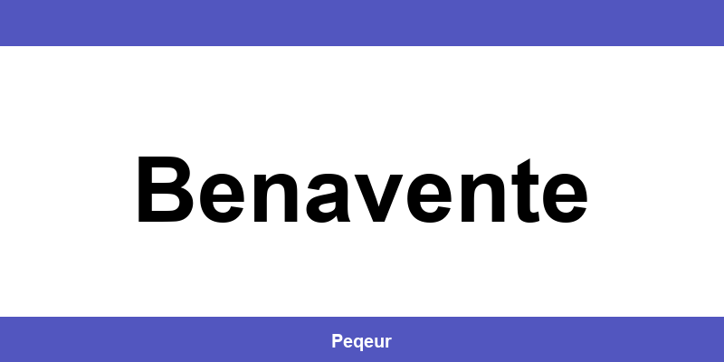 Número de teléfono de la oficina SEUR en Benavente