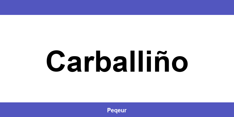 Número de teléfono de la oficina SEUR en Carballiño