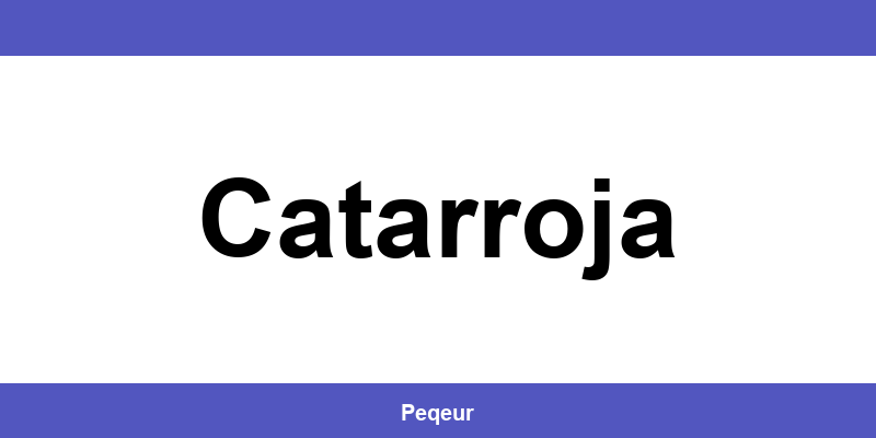Número de teléfono de la oficina SEUR en Catarroja