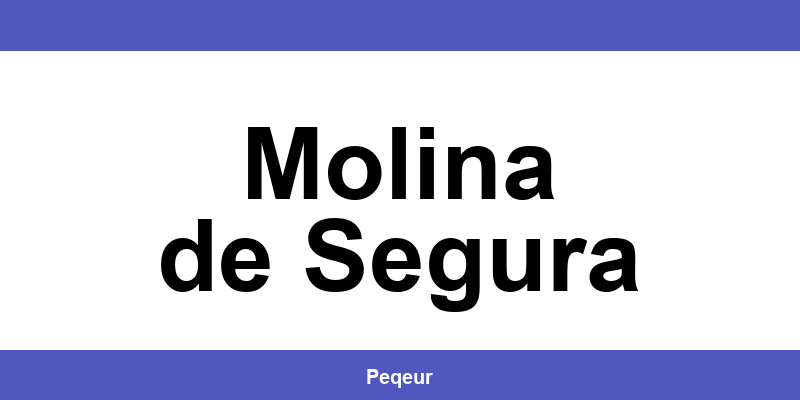 Número de teléfono de la oficina SEUR en Molina de Segura