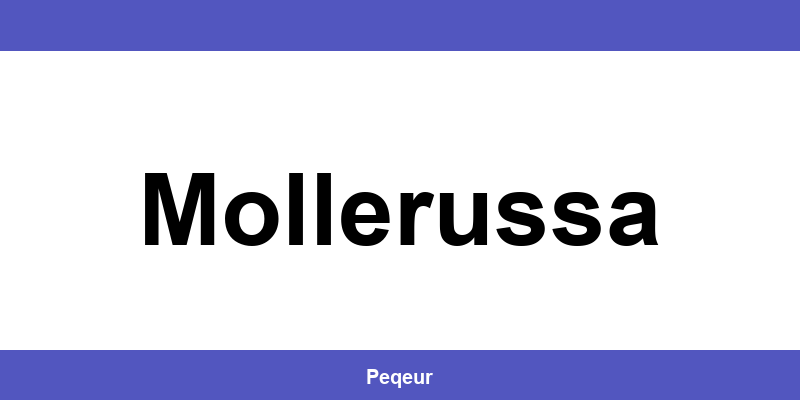 Número de teléfono de la oficina SEUR en Mollerussa
