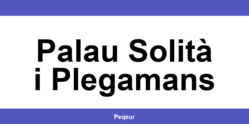 Número de teléfono de la oficina SEUR en Palau Solità i Plegamans