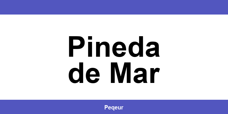 Número de teléfono de la oficina SEUR en Pineda de Mar