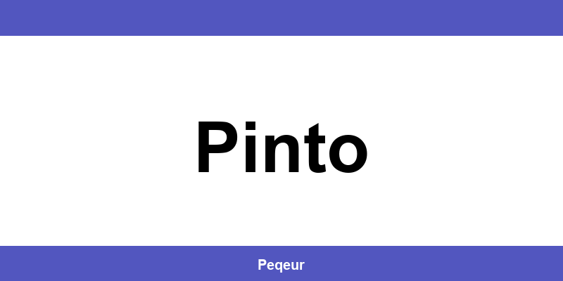 Número de teléfono de la oficina SEUR en Pinto