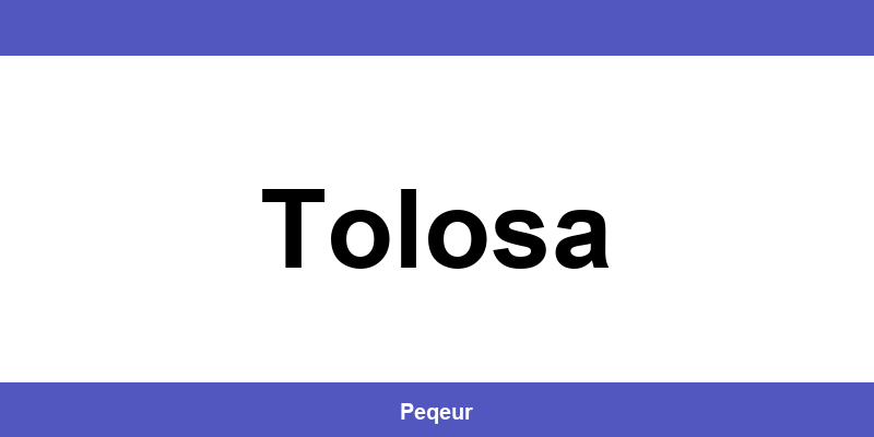 Número de teléfono de la oficina SEUR en Tolosa